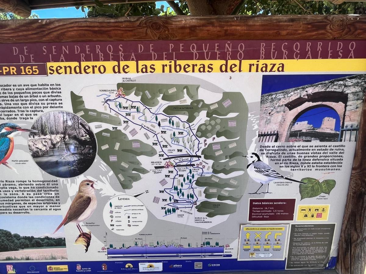 Casa Marite Vivienda De Uso Turistico Villa Campillo de Aranda Bagian luar foto
